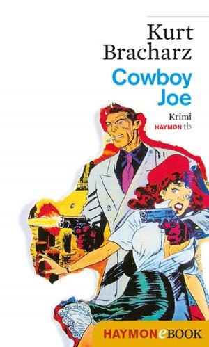 Cover of the book Cowboy Joe by Bastian Zach, Matthias Bauer