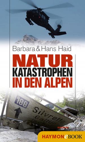 Cover of the book Naturkatastrophen in den Alpen by Johannes E. Trojer