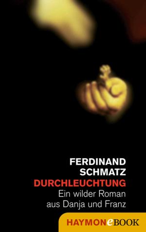 Cover of the book Durchleuchtung by Hans Moser