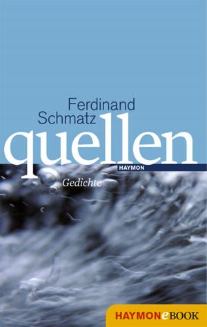 Cover of the book quellen by Manfred Rebhandl