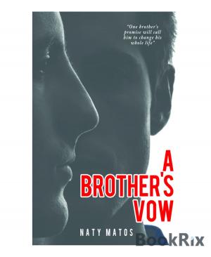 Book cover of A Brother's Vow