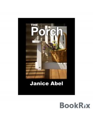 Cover of the book The Porch by Jörg Bauer