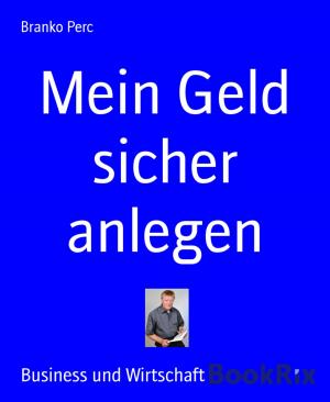 Cover of the book Mein Geld sicher anlegen by Marc Lelky