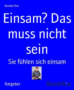 Cover of the book Einsam? Das muss nicht sein by Larry Lash