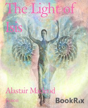 Cover of the book The Light of Isis by Noah Daniels