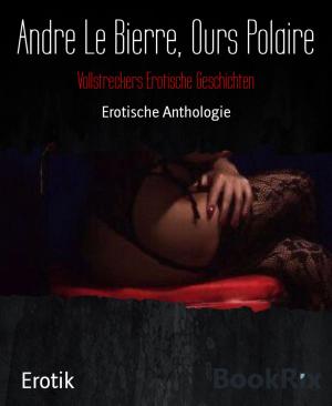 Cover of the book Vollstreckers Erotische Geschichten by Elke Immanuel