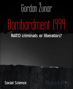 Cover of the book Bombardment 1999 by Amelie Winter