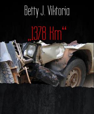 Cover of the book "1378 Km" by Wolfgang Doll