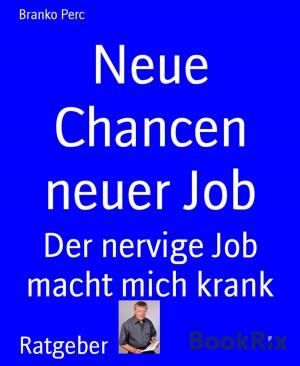 Cover of the book Neue Chancen neuer Job by Rittik Chandra