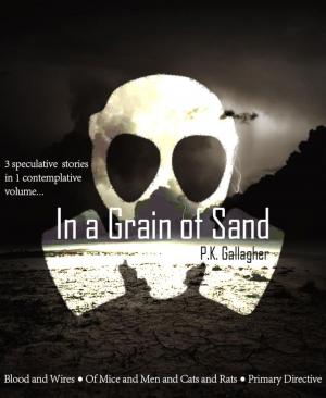 Cover of the book In a Grain of Sand by Noah Daniels