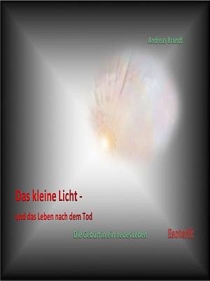 Cover of Das kleine Licht