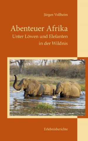 Cover of the book Abenteuer Afrika by Jörg Becker