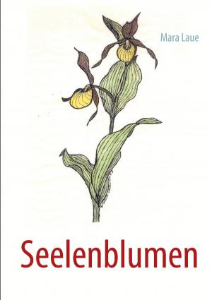 Book cover of Seelenblumen