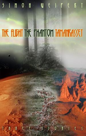 Cover of the book The Flight - The Phantom - Tamanrasset by Susanne Meyer