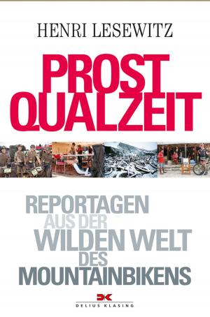 Cover of the book Prost Qualzeit by Birgit Maschler
