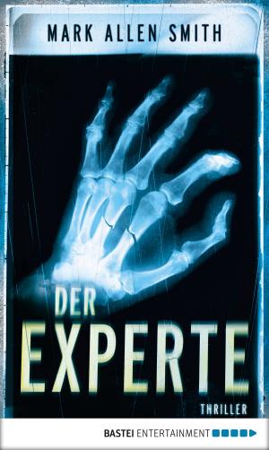 Cover of the book Der Experte by Nina George
