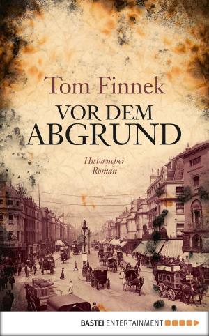 Cover of the book Vor dem Abgrund by Stefan Frank