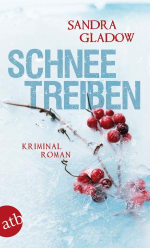 Cover of the book Schneetreiben by Caroline Bernard