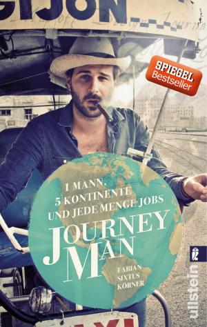 Cover of the book Journeyman by Liza Marklund