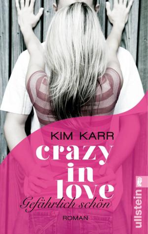 Cover of the book Gefährlich schön - Crazy in Love 1 by Kathrin Weßling