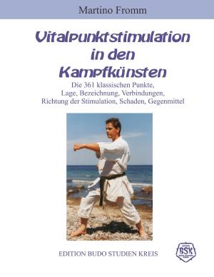 Cover of the book Vitalpunktstimulation in den Kampfkünsten by Andreas Schäfer