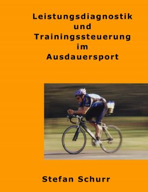 Cover of the book Leistungsdiagnostik und Trainingssteuerung im Ausdauersport by Stefan Schurr
