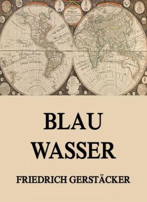Cover of the book Blau Wasser by Arthur Achleitner