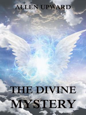 Book cover of The Divine Mystery