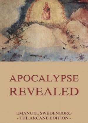 Cover of the book Apocalypse Revealed by Michel Verne