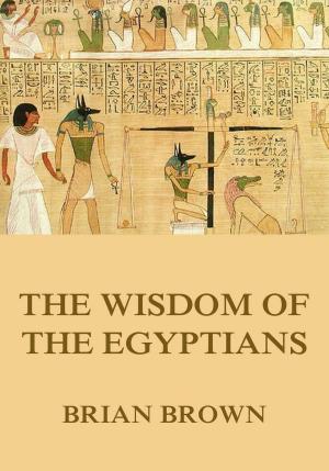 Book cover of The Wisdom of the Egyptians