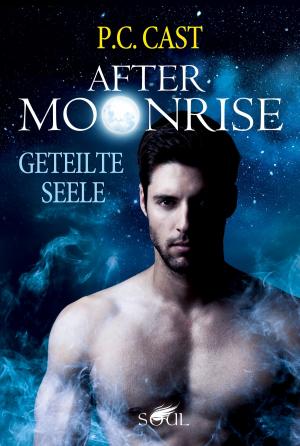 Cover of the book Geteilte Seele by Jon Hartford