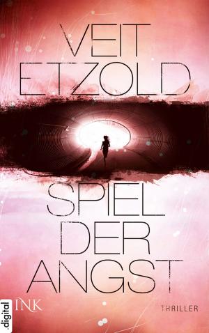 Cover of the book Spiel der Angst by Todd Brabander