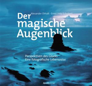 Cover of Der magische Augenblick