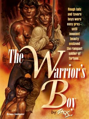 Book cover of The Warrior's Boy