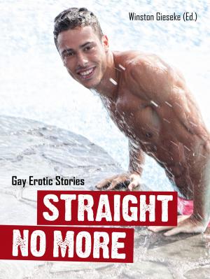 Cover of the book Straight No More by John Preston