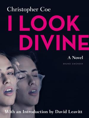 Cover of the book I Look Divine by Joe Berti