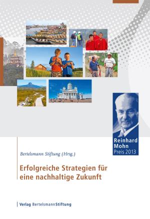 Cover of the book Erfolgreiche Strategien für eine nachhaltige Zukunft by Bernhard Badura, Mika Steinke