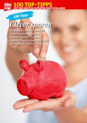 Cover of 100 Tipps Sparen