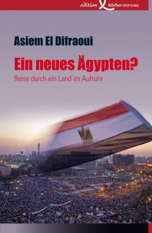 Cover of the book Ein neues Ägypten? by Peter Schaar