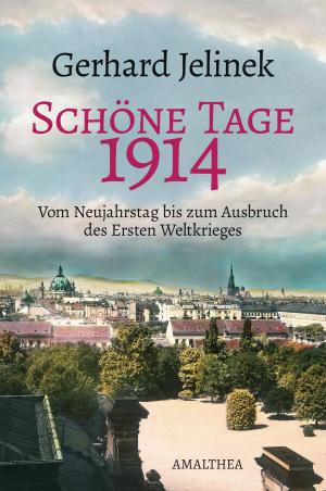 Cover of the book Schöne Tage 1914 by Katrin Unterreiner, Sabine Fellner