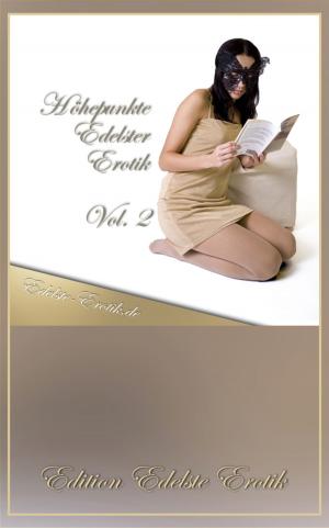 Book cover of Höhepunkte Edelster Erotik - Vol. 2