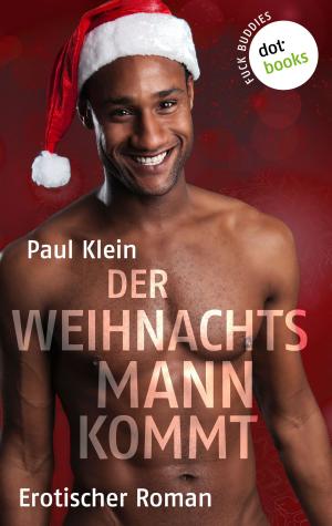 bigCover of the book Fuck Buddies - Band 5: Der Weihnachtsmann kommt by 
