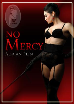 Cover of the book No Mercy by Romy J. Wolf