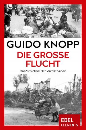 Cover of the book Die große Flucht by James Lee Burke