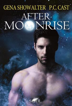 Book cover of After Moonrise