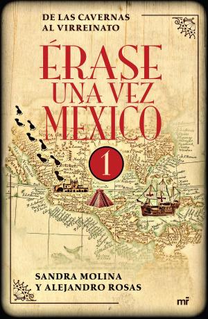 Cover of the book Érase una vez México 1 by 虎走かける