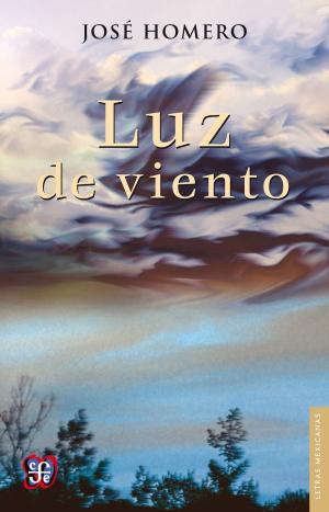 Cover of the book Luz de viento by Horácio Costa