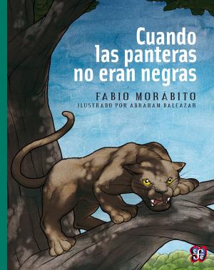 Cover of the book Cuando las panteras no eran negras by José Luis Díaz