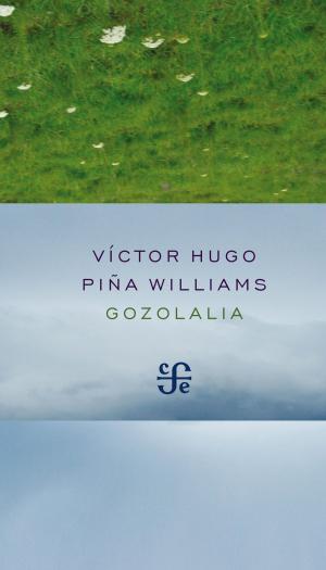 Cover of the book Gozolalia by Cristina Rivera Garza