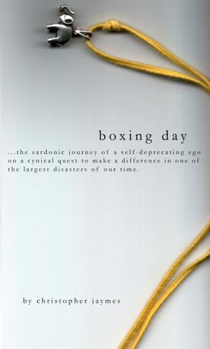 Cover of the book boxing day by Axay D. Bamania